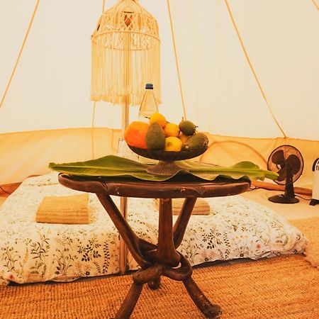Yurt In Avocado Garden Hotel Güimar Eksteriør billede