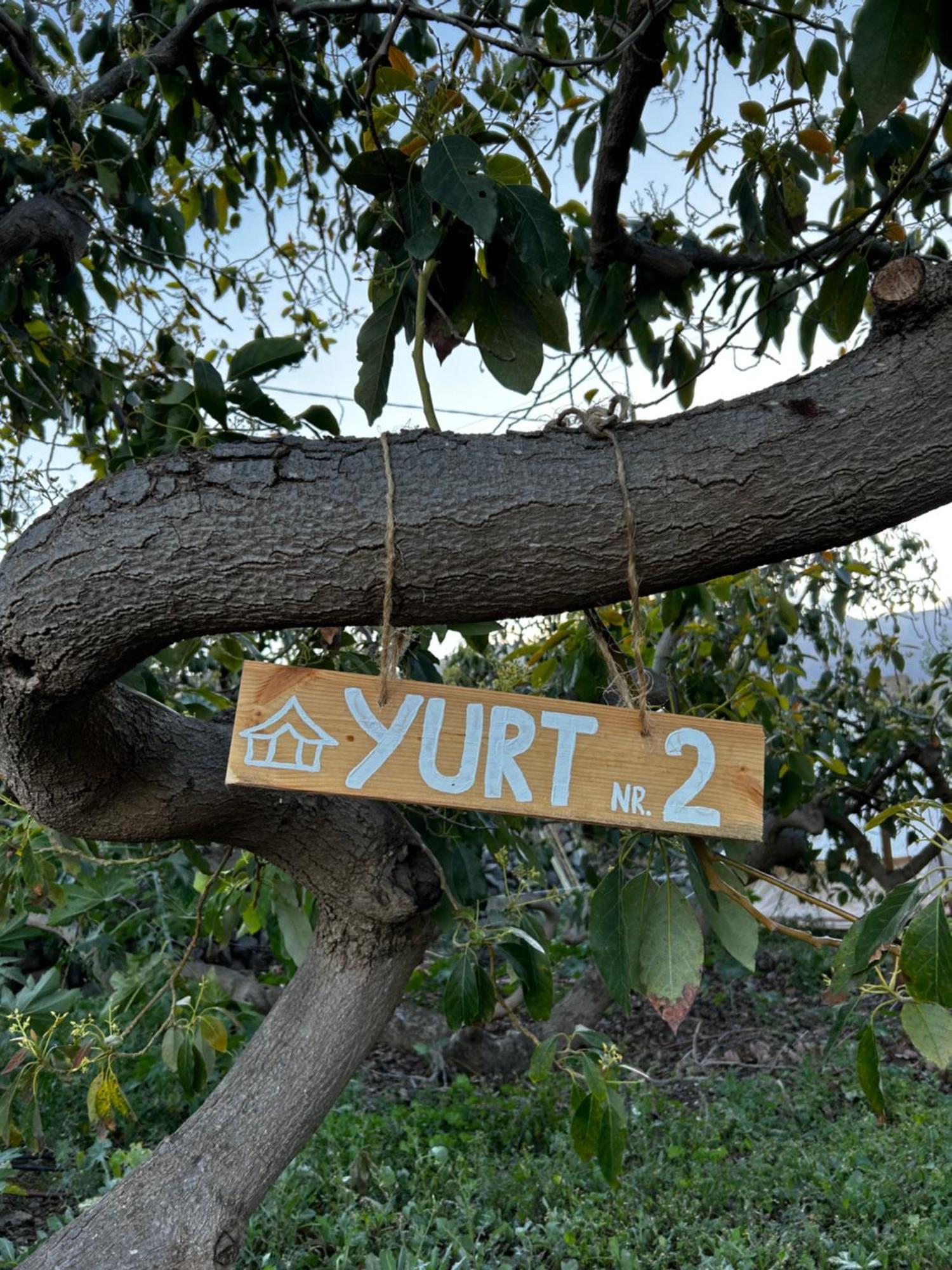 Yurt In Avocado Garden Hotel Güimar Eksteriør billede