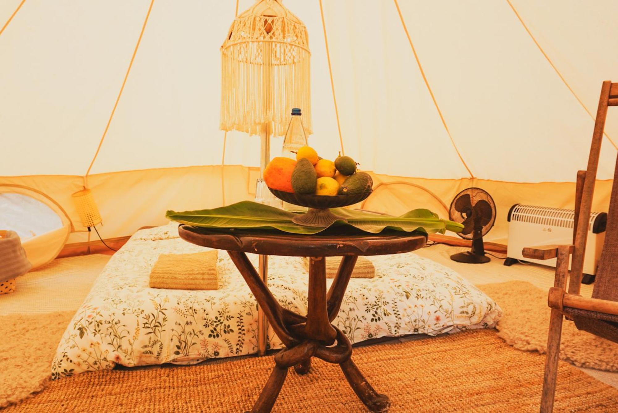 Yurt In Avocado Garden Hotel Güimar Eksteriør billede